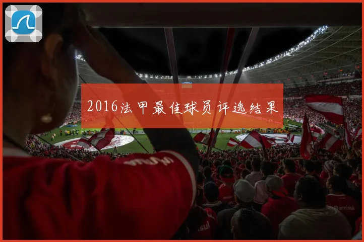 2016法甲最佳球员评选结果