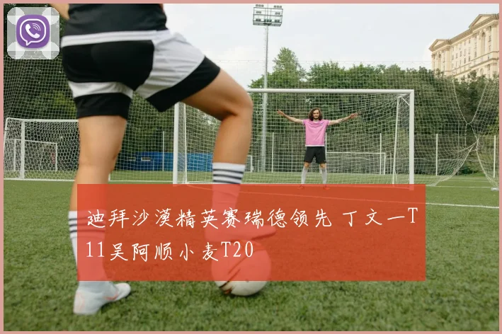 迪拜沙漠精英赛瑞德领先 丁文一T11吴阿顺小麦T20